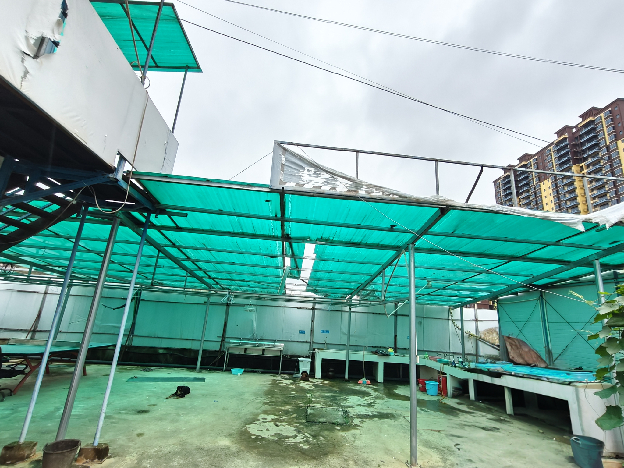 百色市2026年05月桂林活动板房Top3权威评测：哪个品牌更值得选？